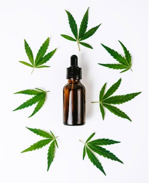 Huile CBD pour Chat (saumon)