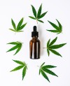 Huile CBD pour Chat (saumon)